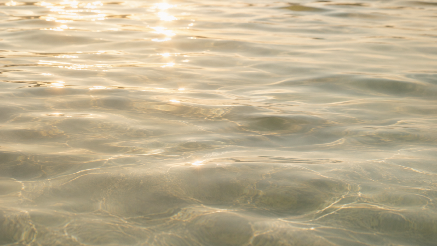Warm sunlight reflecting across calm water