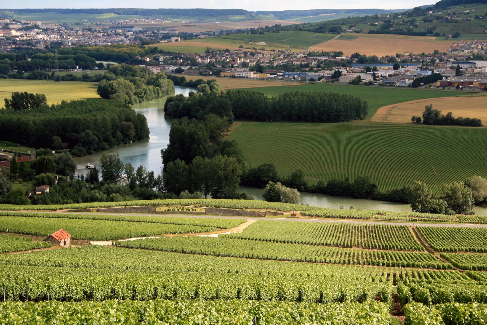 Vineyards across the Champagne region of France
